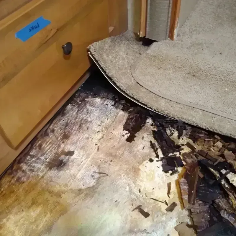 Wood Floor Water Damage in Middlesex, NJ